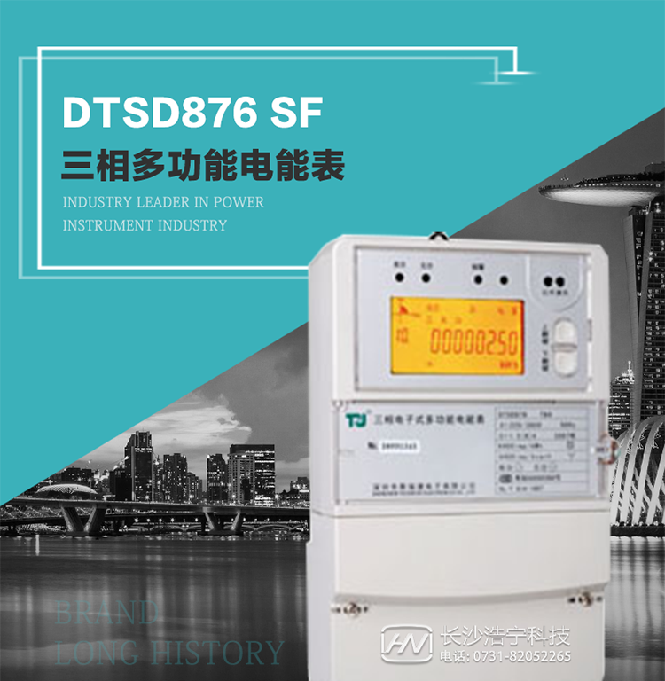 產品型號：DTSD876 SF型 三相多功能電能表
精度等級：有功0.5級 1級；無功2級 
額定電壓： 3×100V 3×57.7/100V 3×220/380V 
額定電流： 1.5(6)A 5(20)A 10(40)A 15(60)A 20(80)A 30(100)A 
頻 率： -40℃～+70℃ 
工作溫度：≤0.5S 
顯示方式： ≥1000mAh 
整機功耗： ≥10年 
重量： 約2.4kg 
外形尺寸： 293mm×175mm×80mm